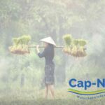 Cap-Net: Success stories with aulasneo